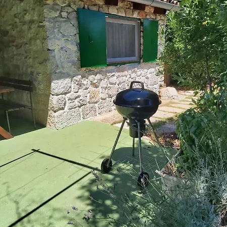 House With A Parking Space - 21620 Holiday home Rovinj